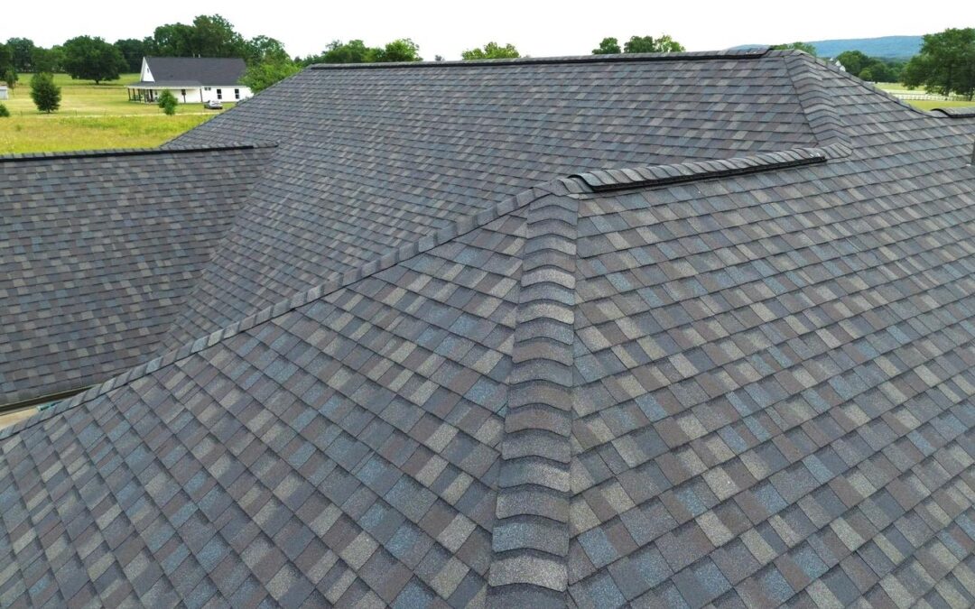 What You Can Do to Protect Your Roof