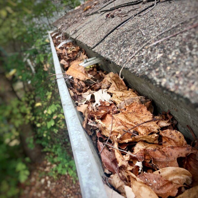 A gutter is clogged with many leaves.