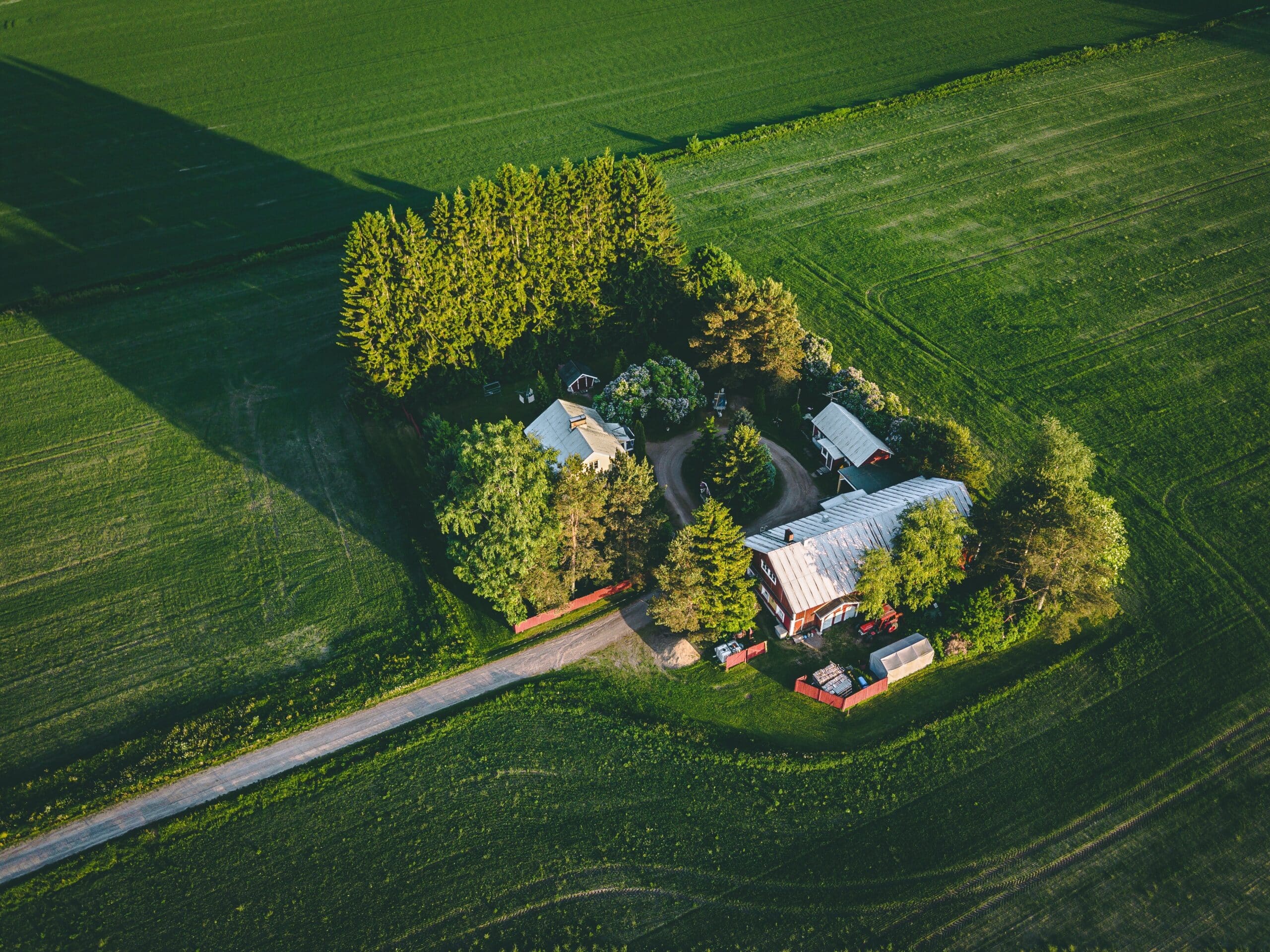 Aerial view of a farmstead surrounded by green fields, with several buildings and trees clustered together near a rural road.